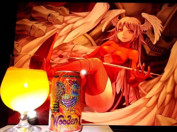 15304223_538637189665721_8915116477263500459_o